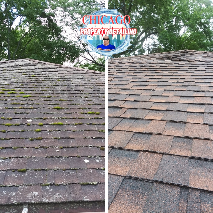 This is a before, and after picture of a roof washing service by Chicago property detailing and pressure washing. This picture is being used to visually explained our roof washing service.